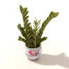 盆景-动植物-盆栽-VR/AR模型-3D城
