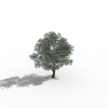 植物-动植物-盆栽-VR/AR模型-3D城