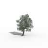 植物-动植物-盆栽-VR/AR模型-3D城