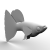 鱼-动植物-鱼类-VR/AR模型-3D城