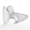 鱼-动植物-鱼类-VR/AR模型-3D城