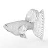 鱼-动植物-鱼类-VR/AR模型-3D城