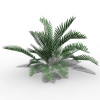 热带植物-动植物-植物-VR/AR模型-3D城