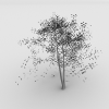 树-动植物-植物-VR/AR模型-3D城