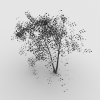 树-动植物-植物-VR/AR模型-3D城