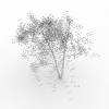 树-动植物-植物-VR/AR模型-3D城