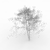 树-动植物-植物-VR/AR模型-3D城