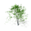 树-动植物-植物-VR/AR模型-3D城