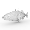 鱼-动植物-鱼类-VR/AR模型-3D城
