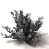 室外植物-动植物-植物-VR/AR模型-3D城