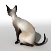 猫-动植物-哺乳动物-VR/AR模型-3D城