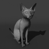 猫-动植物-哺乳动物-VR/AR模型-3D城