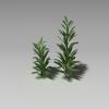 植物-动植物-植物-VR/AR模型-3D城