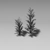 植物-动植物-植物-VR/AR模型-3D城