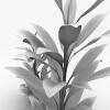 植物-动植物-植物-VR/AR模型-3D城