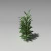 植物-动植物-植物-VR/AR模型-3D城