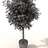 盆景-动植物-盆栽-VR/AR模型-3D城