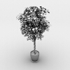 盆景-动植物-盆栽-VR/AR模型-3D城