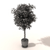 盆景-动植物-盆栽-VR/AR模型-3D城
