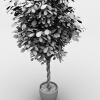 盆景-动植物-盆栽-VR/AR模型-3D城