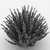植物-动植物-花草-VR/AR模型-3D城