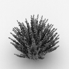 植物-动植物-花草-VR/AR模型-3D城