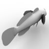 鱼-动植物-鱼类-VR/AR模型-3D城