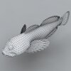 鱼-动植物-鱼类-VR/AR模型-3D城