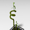 盆景-动植物-盆栽-VR/AR模型-3D城