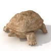小乌龟-动植物-爬行动物-VR/AR模型-3D城
