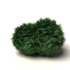 树-动植物-植物-VR/AR模型-3D城