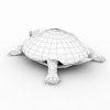 turtle-动植物-爬行动物-VR/AR模型-3D城