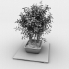 盆景-动植物-盆栽-VR/AR模型-3D城