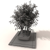盆景-动植物-盆栽-VR/AR模型-3D城