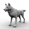 狼-动植物-哺乳动物-VR/AR模型-3D城