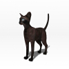 猫-动植物-哺乳动物-VR/AR模型-3D城