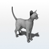 猫-动植物-哺乳动物-VR/AR模型-3D城