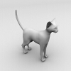 猫-动植物-哺乳动物-VR/AR模型-3D城
