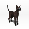 猫-动植物-哺乳动物-VR/AR模型-3D城