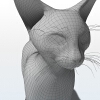 猫-动植物-哺乳动物-VR/AR模型-3D城