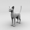 猫-动植物-哺乳动物-VR/AR模型-3D城