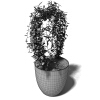 盆景-动植物-盆栽-VR/AR模型-3D城