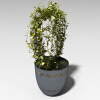 盆景-动植物-盆栽-VR/AR模型-3D城