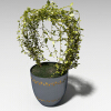 盆景-动植物-盆栽-VR/AR模型-3D城