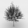 树-动植物-植物-VR/AR模型-3D城