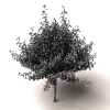 树-动植物-植物-VR/AR模型-3D城