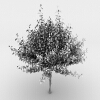树-动植物-植物-VR/AR模型-3D城
