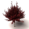 树-动植物-植物-VR/AR模型-3D城