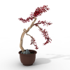 盆栽-动植物-盆栽-VR/AR模型-3D城