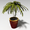 盆景-动植物-盆栽-VR/AR模型-3D城